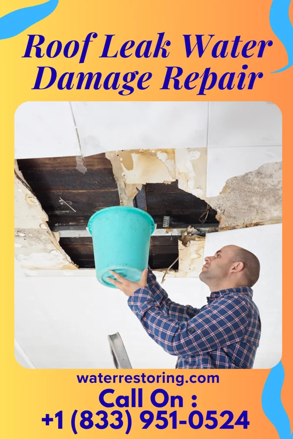 Roof Leak Water Damage Repair in Avard, OK